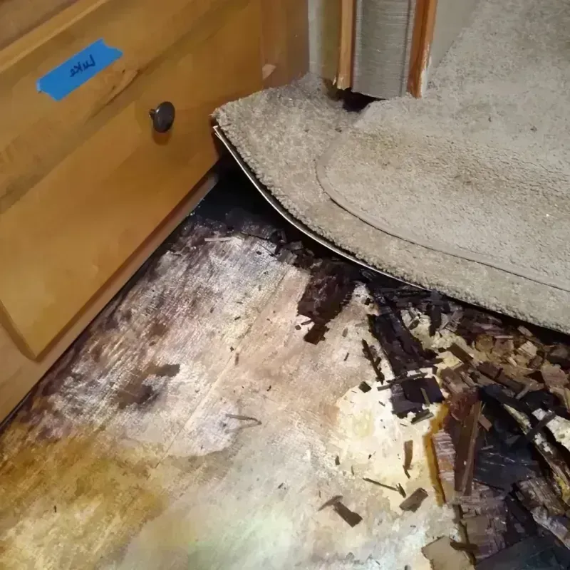 Wood Floor Water Damage in Rockford, OH